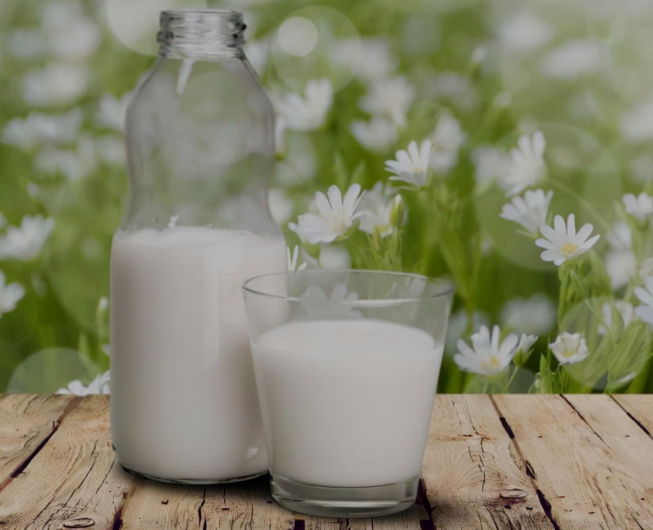 常喝牛奶与不喝牛奶的女人，身体有什么区别？