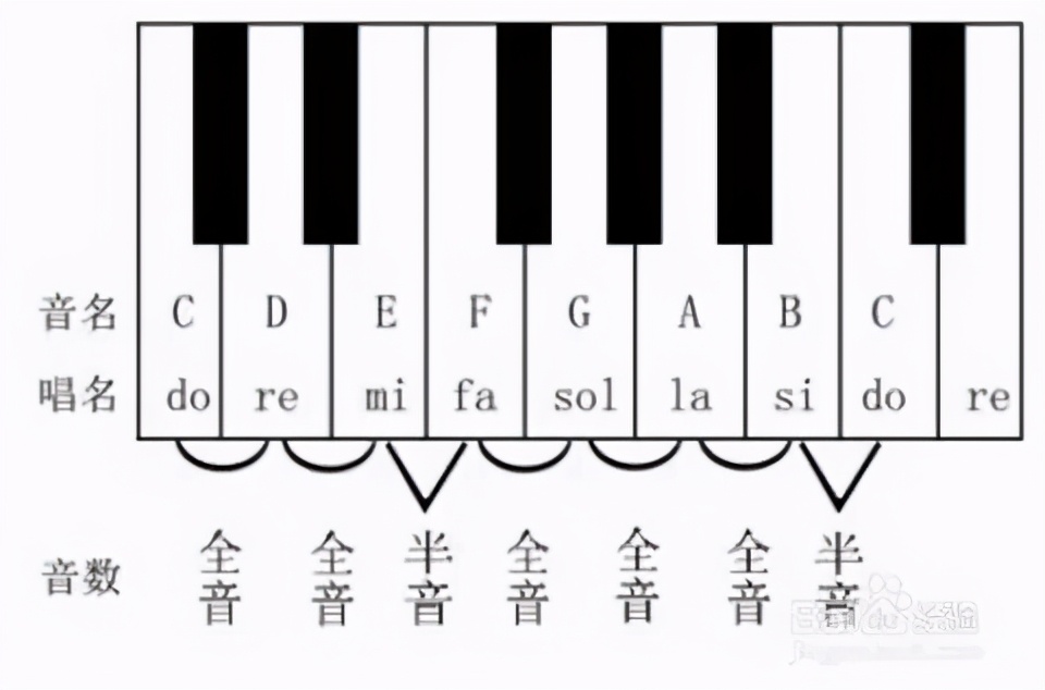 钢琴黑键对应的音符图片(钢琴上的黑白键介绍~)  第12张