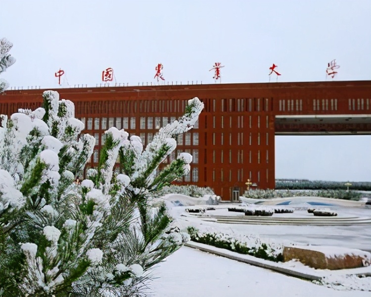 西南林业大学校鸡_西南林业大学学报投稿_西南林业大学怎么样