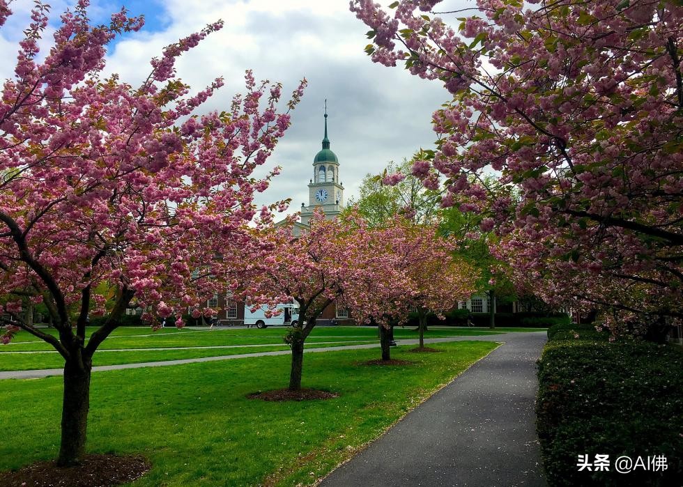 美国毕业生收入最高的100所大学
