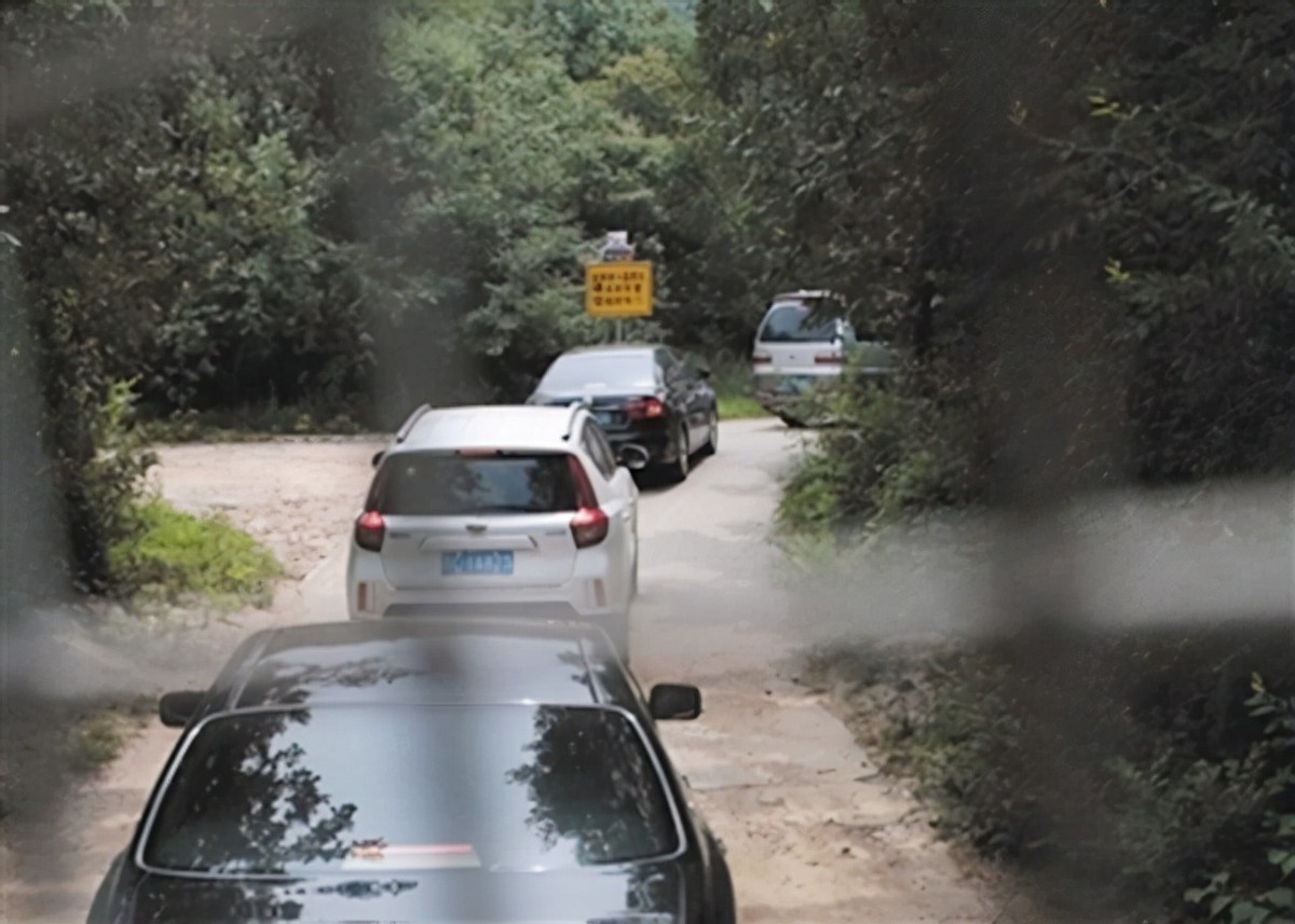 “老虎咬死游客事件”幸存者：至今没有工作，最大心愿是整容