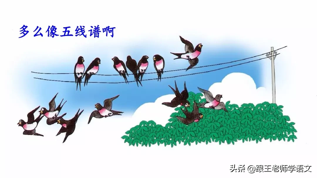 部编语文三年级下册课文2、燕子（朗读+知识点+图解）