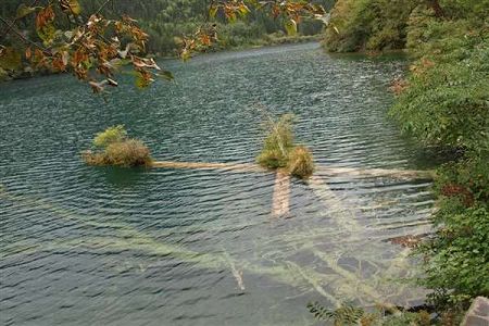 济南有哪些专科学校（潍坊哪些专科学校好）