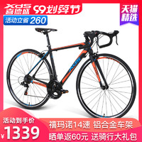 公路车入门－看我这篇就够了