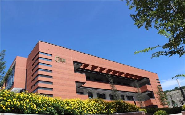 2020小升初新学校解读：关于实外五龙山，你了解多少？