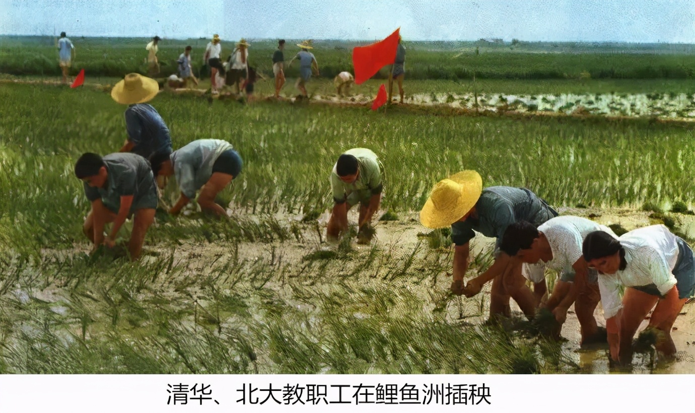 河南当年错失“中科大”，真的是遗憾吗？