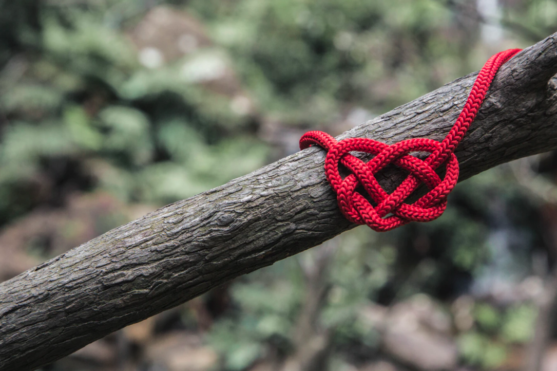 rope是"绳子",rope you in千万不要理解为"把你捆绑"