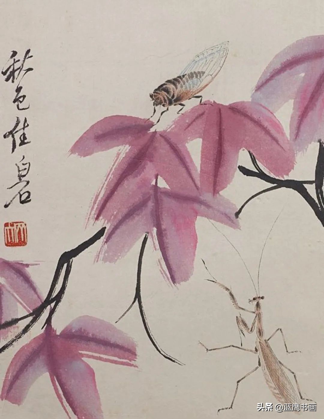 齐白石善于用墨，更善于用色，从而创造了独树一帜的新画风