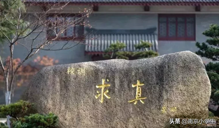 重磅！南京一中求真、一中实验两校突发大变动