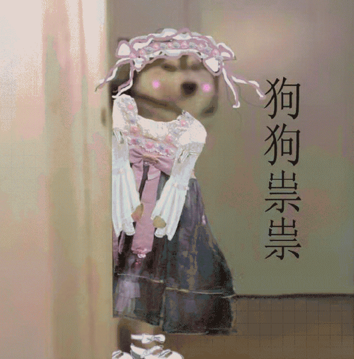骨头到底适不适合喂狗?