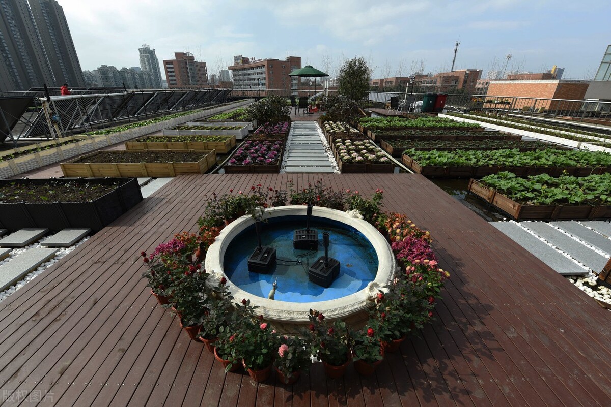 这5所高校改名很成功，从小有名气到区域知名高校，实力增强很快