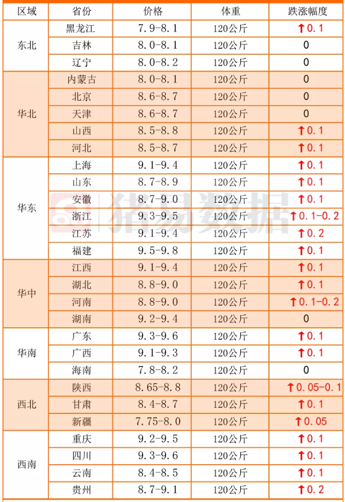 猪价“坐火箭”，全国猪价“红彤彤”！11月23日猪价