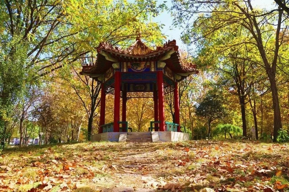 衡水学院——“北方湖城”的明珠