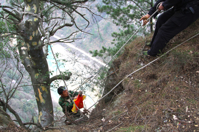 采药师的故事图片 _飞翔号