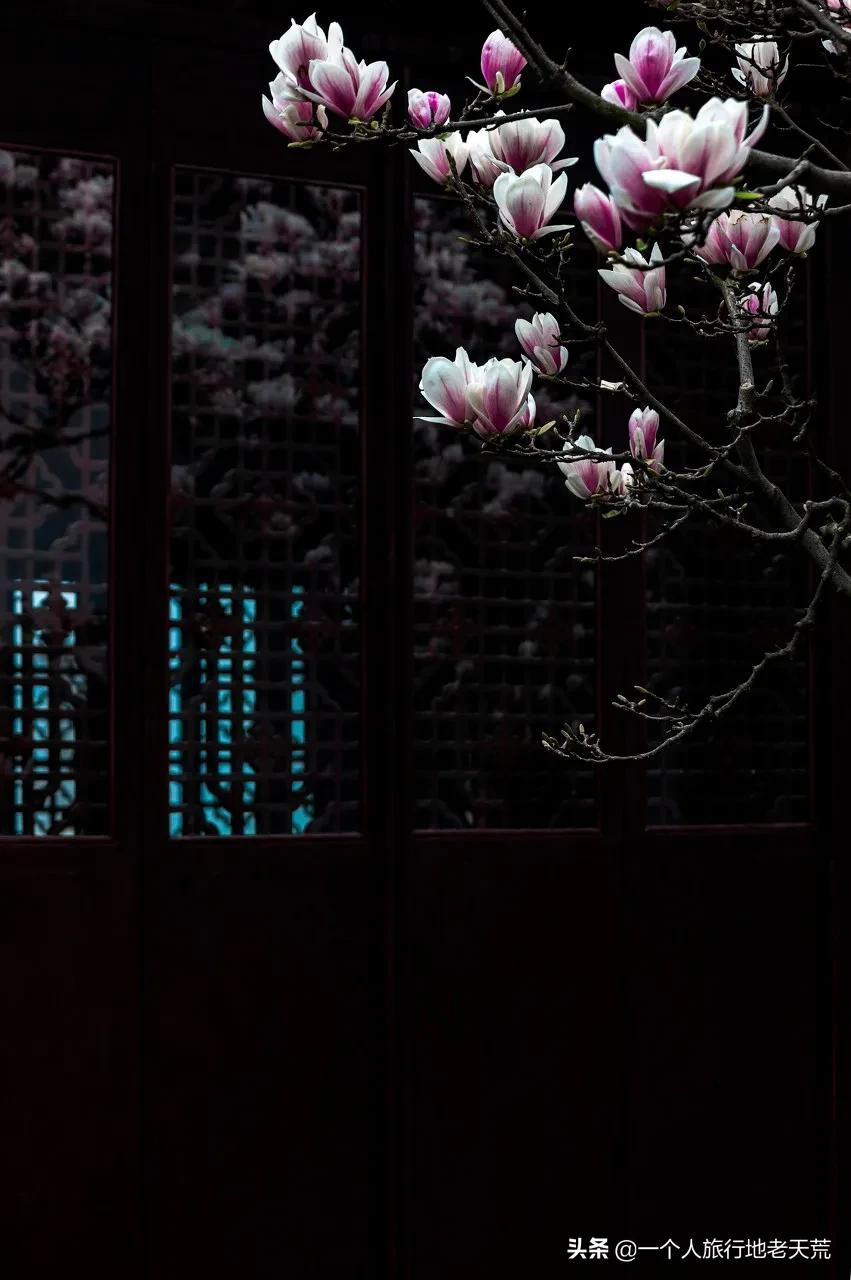 江南这么美,所以这个三月,春风十里不如下江南