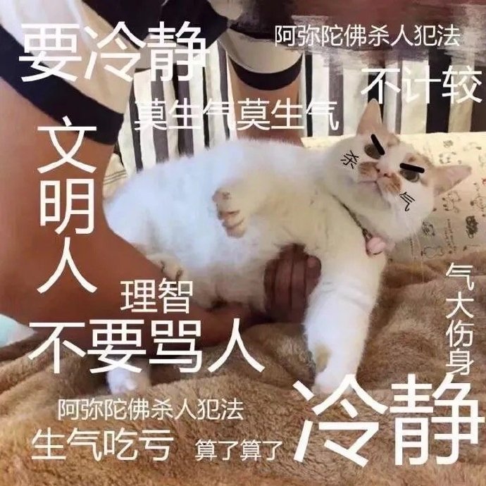 猫咪斗图表情包合集 你这是想干嘛呀