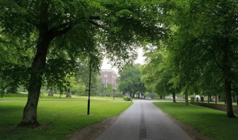 二本大学“补录”开始了，这4所优质高校名额空缺，适合学生捡漏