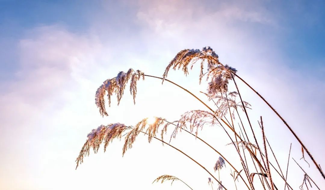 10首最美立冬诗词，挥手作别秋，转身遇见冬