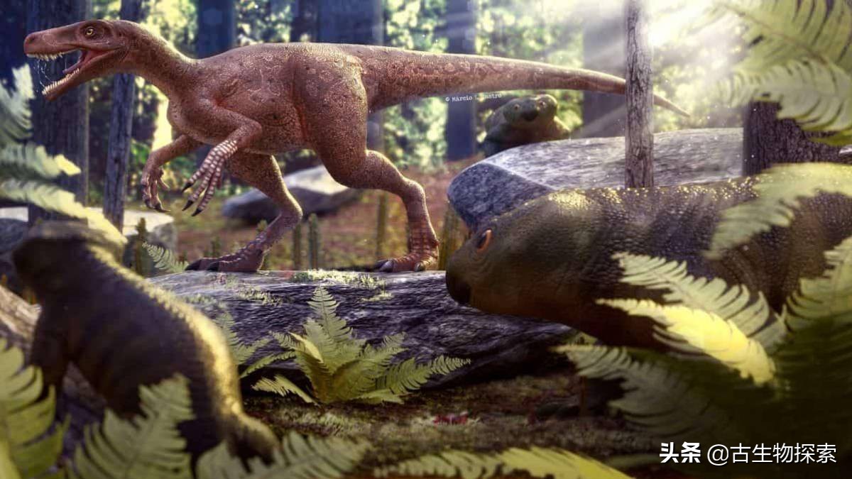 top 9 阿斯法托猎龙