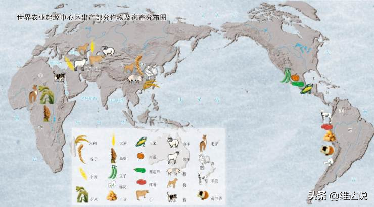 改变中国饮食文化的小麦，竟是4500年前从西亚而来的外来物种