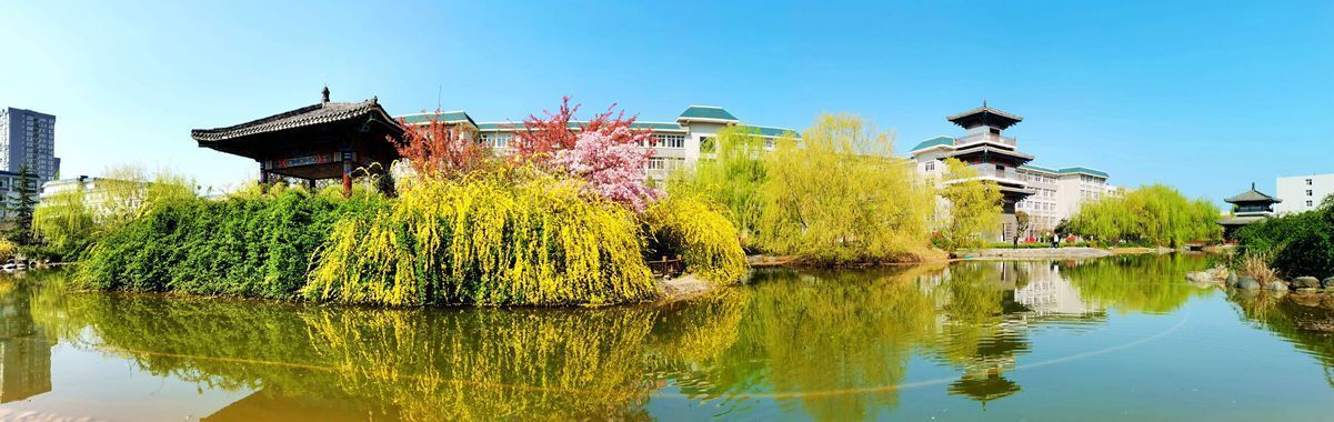 陕西师范大学人事处（陕西理工大学2021年海内外优秀人才线上招聘启事）