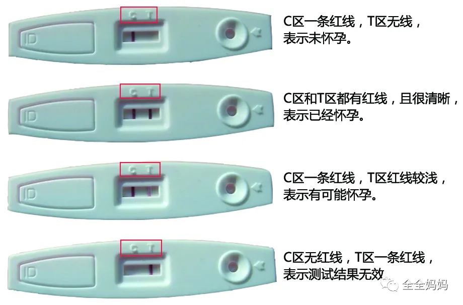 验孕棒怎样是怀孕图片图片