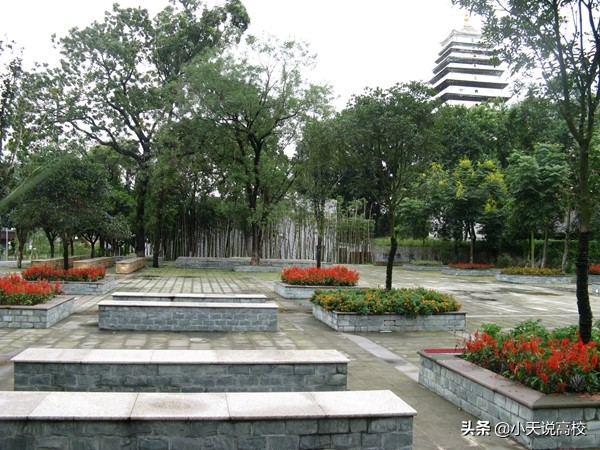 你信么？成都师范学院否认“歧视专升本生”：对所有学生一视同仁