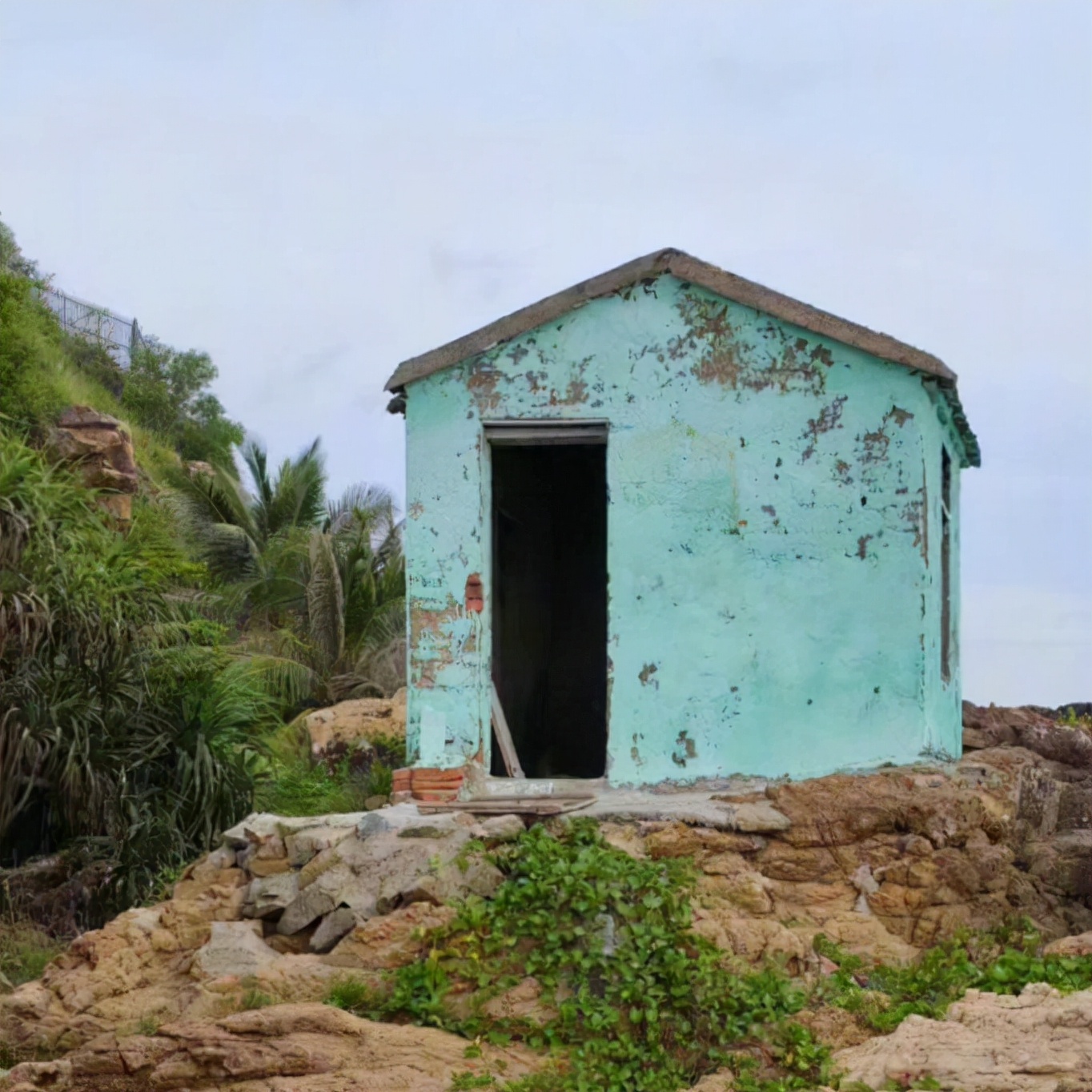 小红书说红就是红？你咋就不辩一辩？