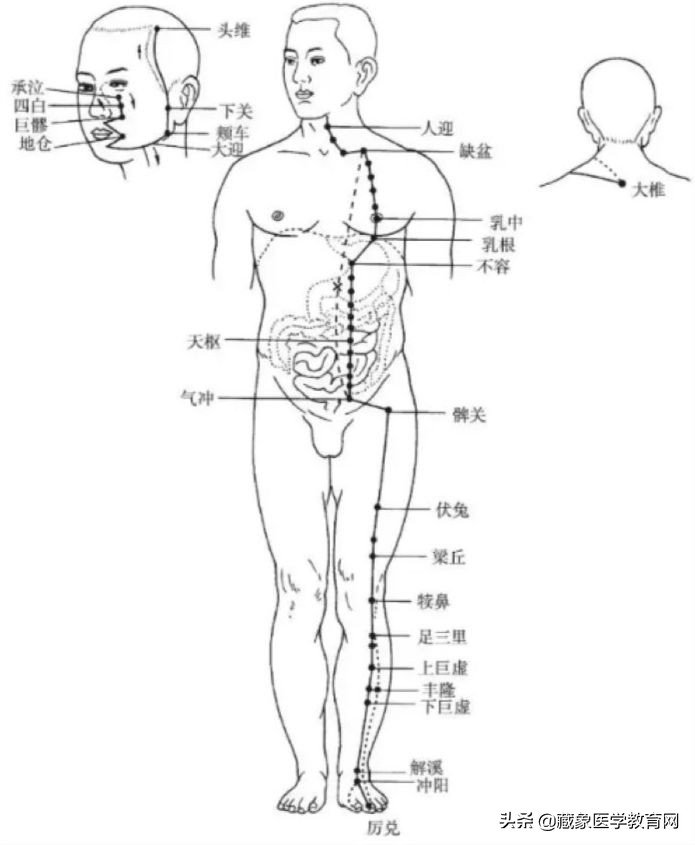 你了解经脉吗？十二经脉的位置、走向规律、交接规律及分布规律