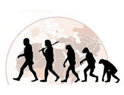 达尔文和华莱士是谁先提出进化论的，还是另有其人？