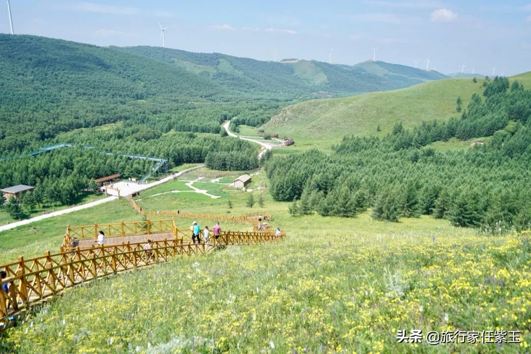 承德坝上，想和你潜入森林漫步草原，看日出日落，雨疏星骤