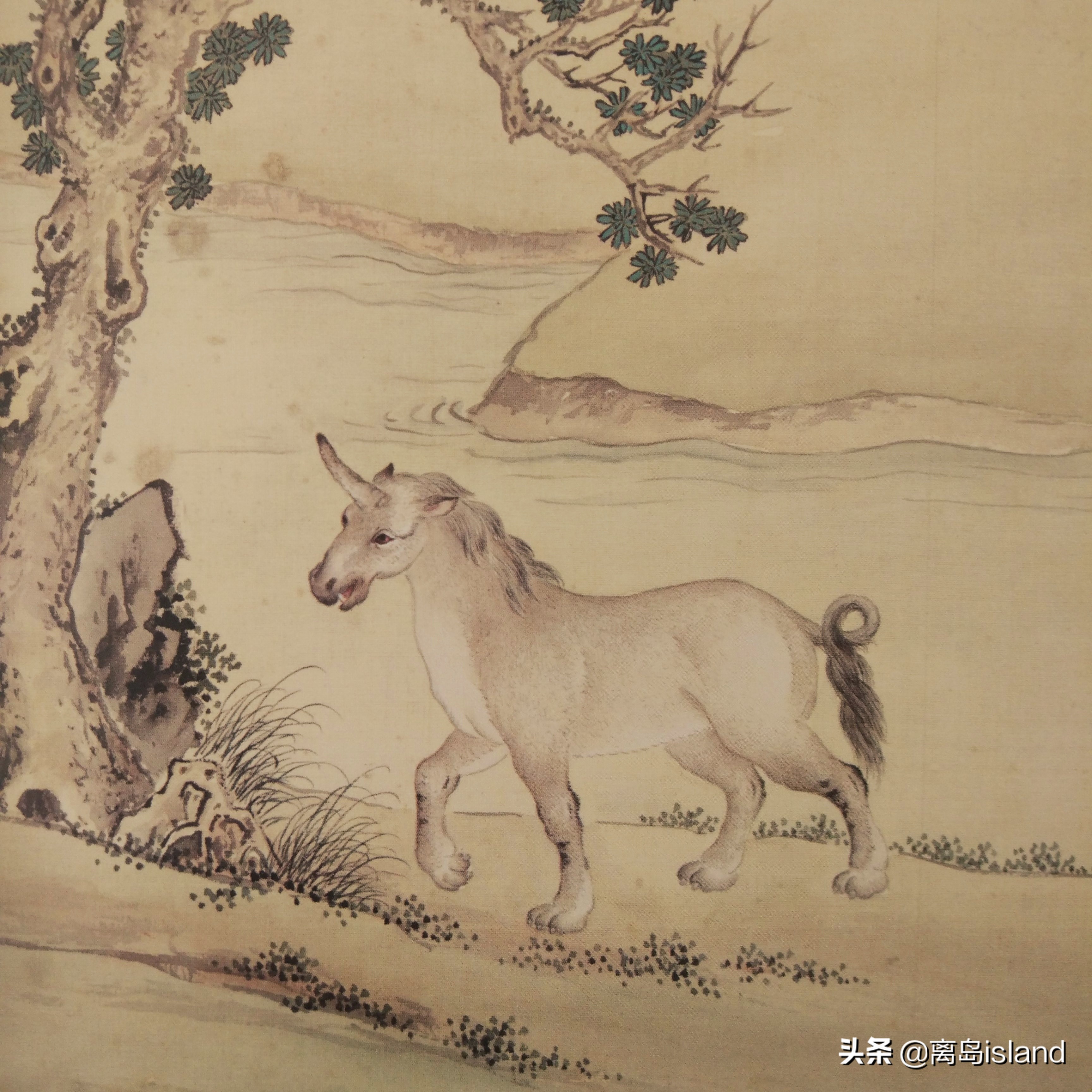 “罴”“駮”“兕”你都会读吗？跟着乾隆帝，奇书在手看世界