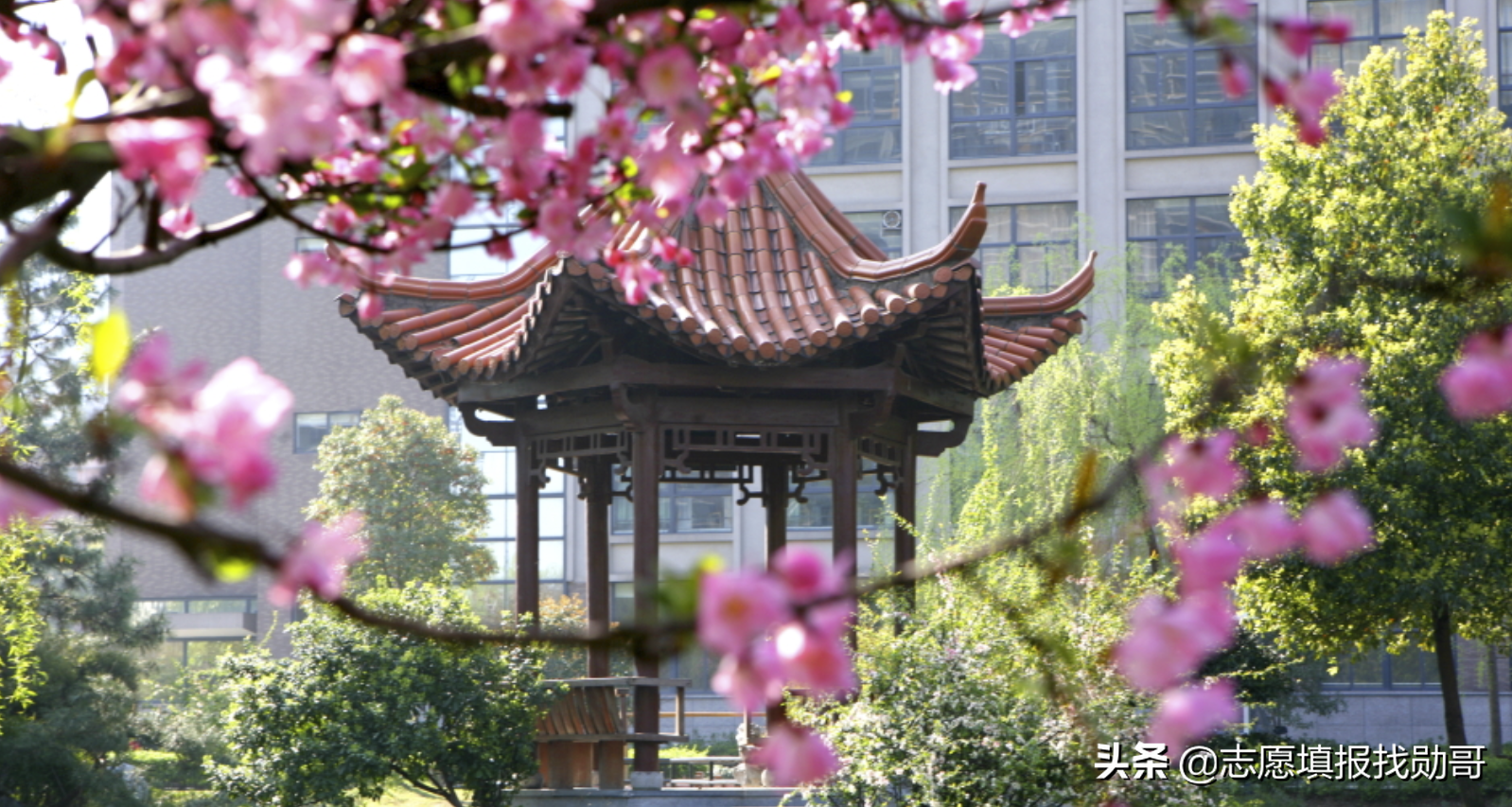 学计算机最好的11所普通大学，不比985、211差，毕业有高薪