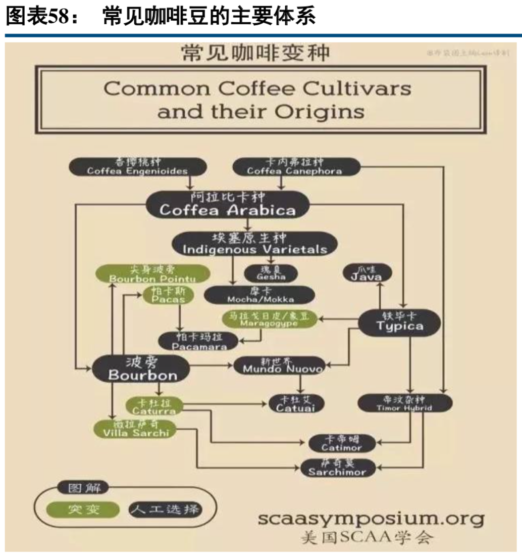 70页报告深度解析星巴克的商业模式及其成长启示