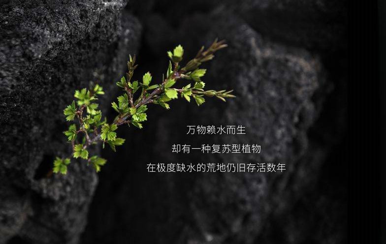 2021大牌面霜排行：第一不是lamer，娇兰更受欢迎，看你的排第几