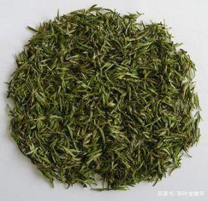 云南土著茶品种大全，看看你喝的是什么茶？