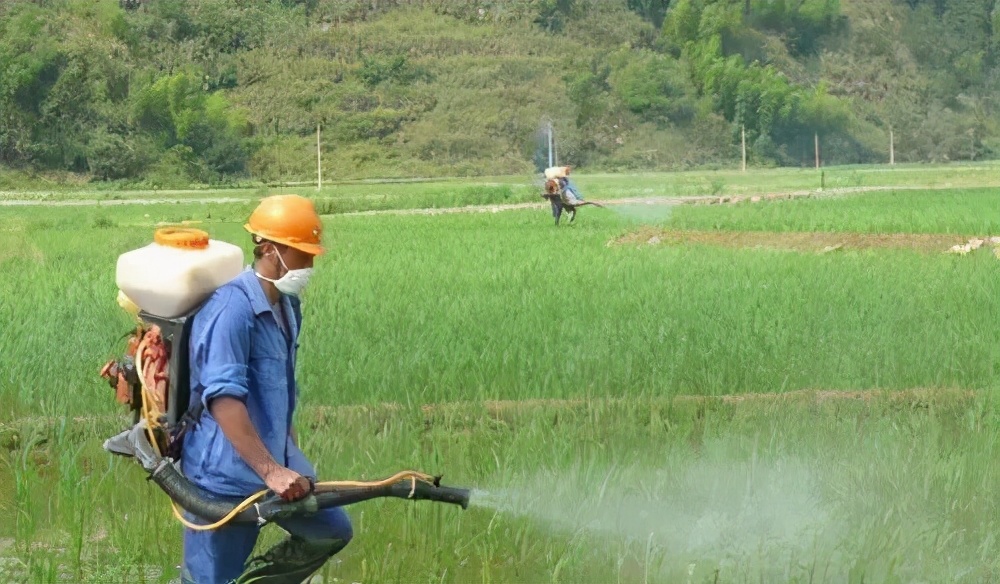 22考研就业前景超好的13大专业盘点！有你的专业么？