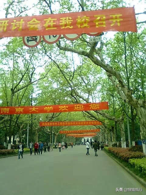 百年名校南京大学一日游，八年前的老照片带你回忆南大