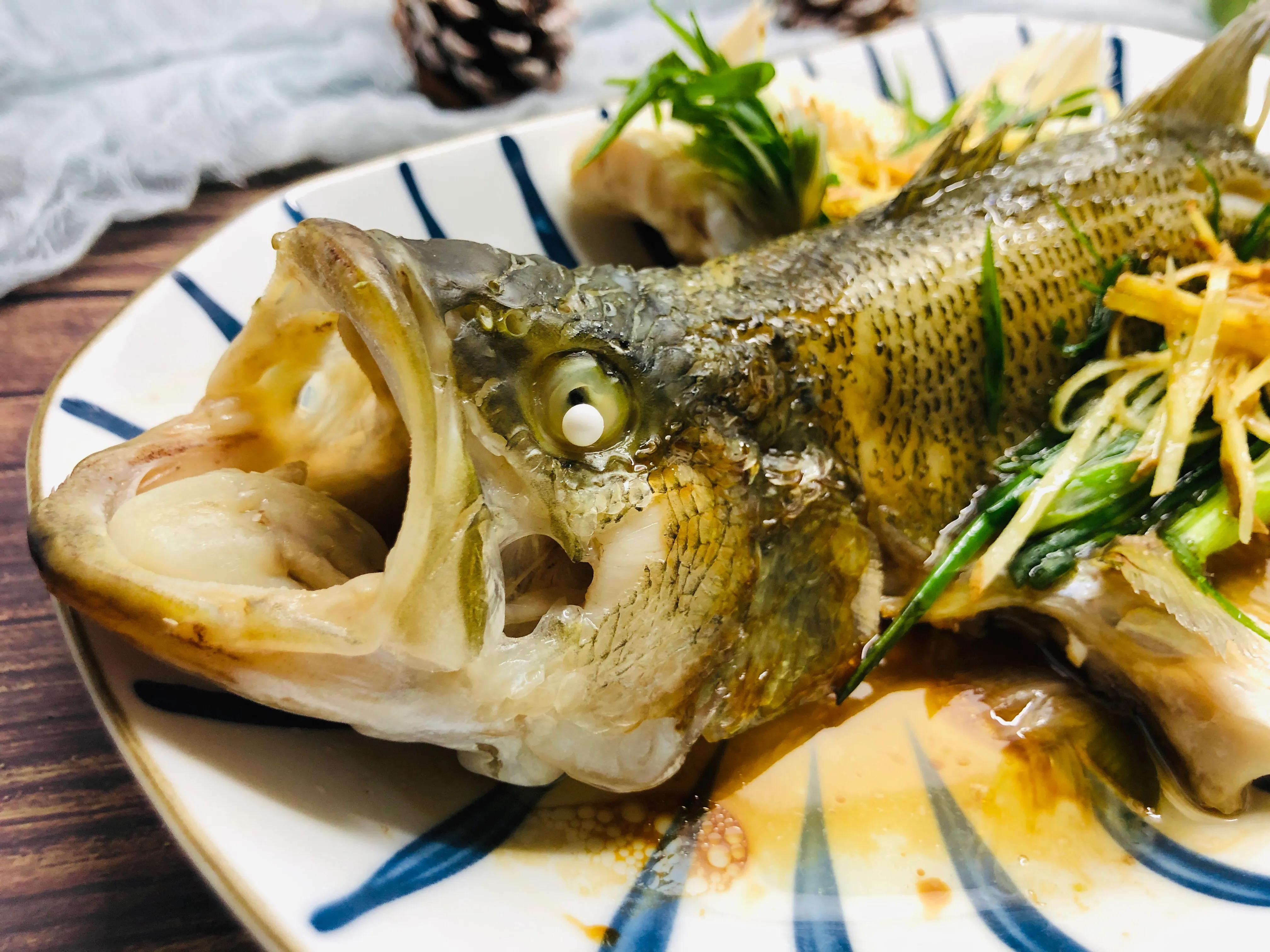 适合清蒸的鱼有哪些鱼（4种鱼很适合清蒸肉质鲜美小刺少）