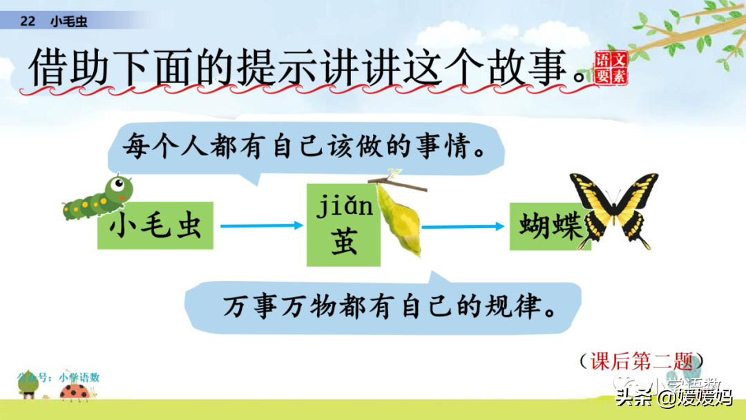 二年级下册语文课文22《小毛虫》图文详解及同步练习