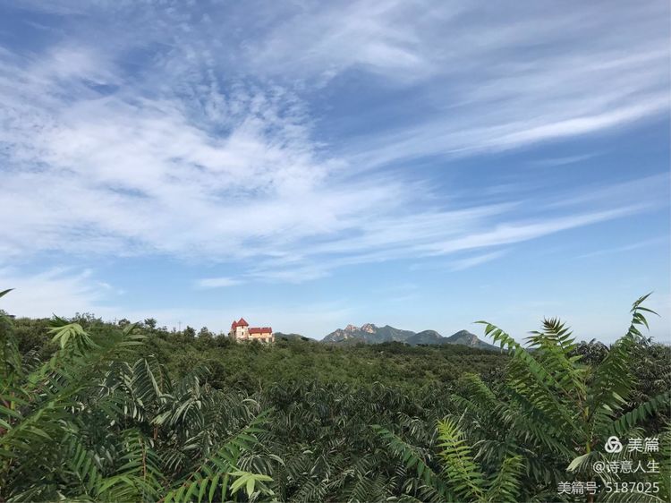 夏日登山汗如泉