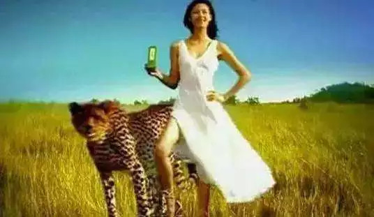 从美人豹到影豹，中国轿跑到底经历了什么？