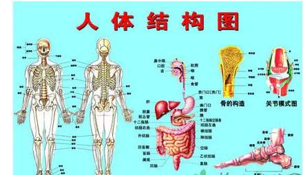 工业工程（IE）对象的结构组成