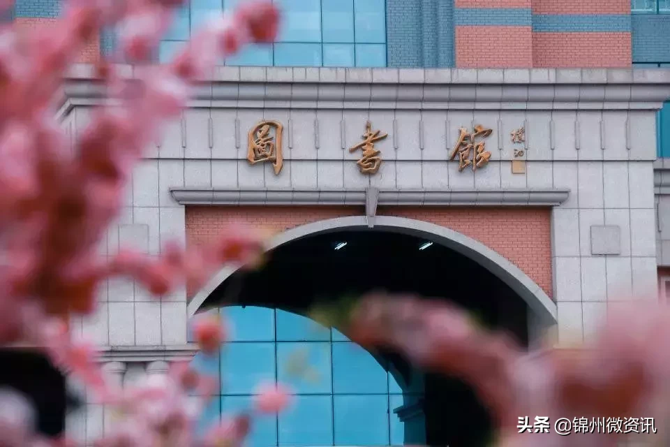 锦州渤海大学开学了！终于可以见到TA