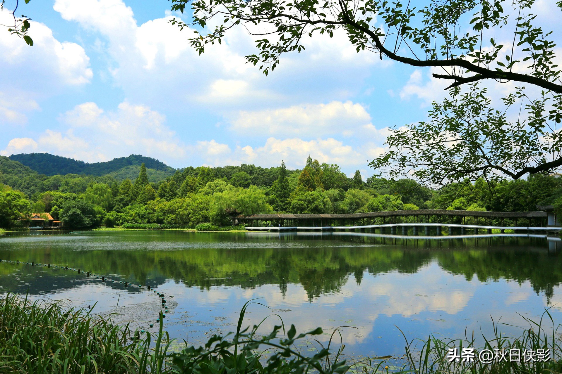 夏日西湖冷门景点,人少景美还免费,除了湖光山色还有江南园林