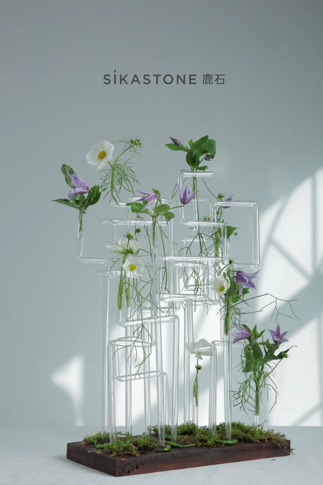 「Stef Adriaenssens」当代花艺架构设计大师课