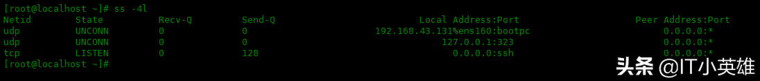 Linux 中 ss 命令的使用實例