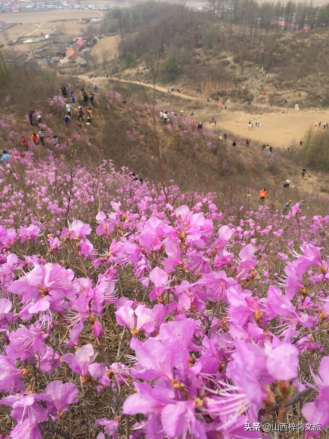 记录岫岩县的一些美景图片、生活日常，也许你的生活也这样