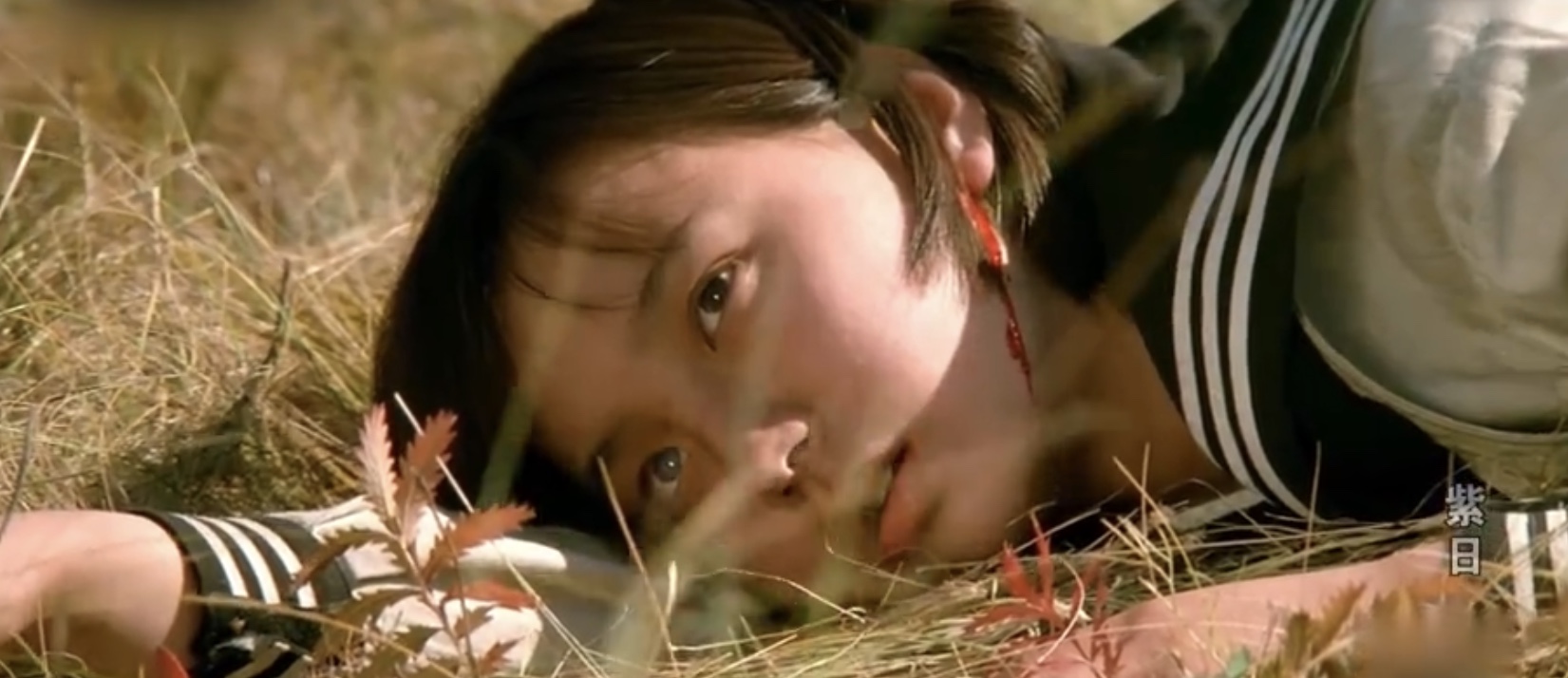 紫日电影剧情「简介」 _晶羽科技