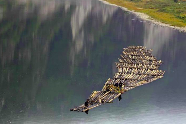 杜甫在《登高》中写“无边落木萧萧下”，为何是落木，而非落叶？(无边落木萧萧下的平)